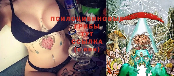 СК Михайловск