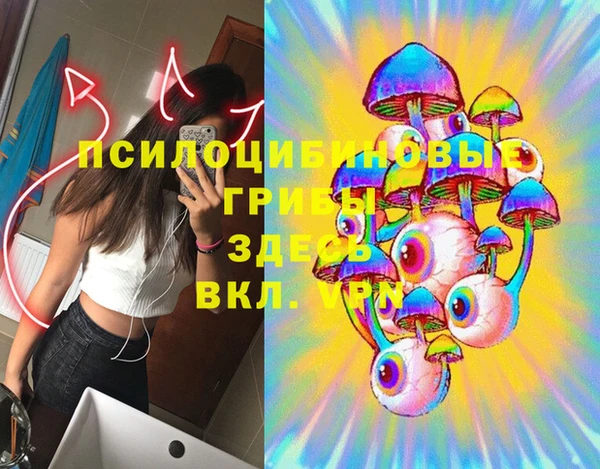 СК Михайловск