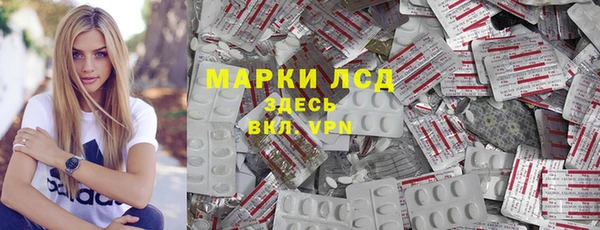 СК Михайловск