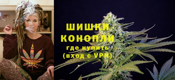 СК Михайловск