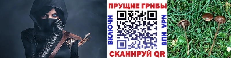 Галлюциногенные грибы прущие грибы  Смоленск 