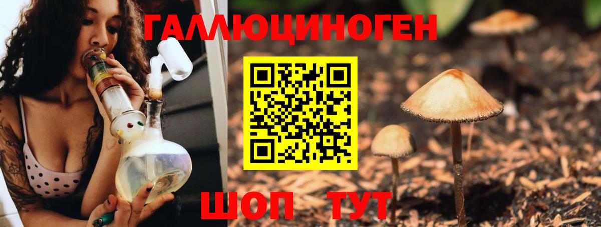 Псилоцибиновые грибы прущие грибы Смоленск
