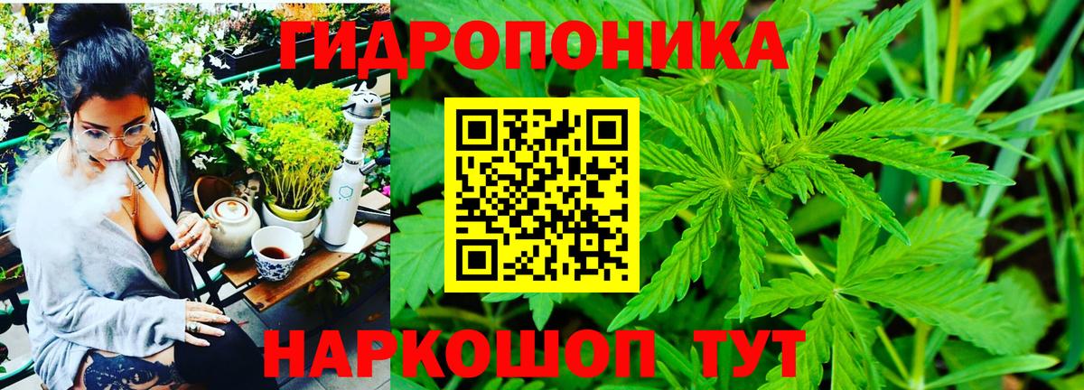 Смоленск  Конопля AK-47  Конопля MAZAR  Вход с VPN  Конопля OG Kush 